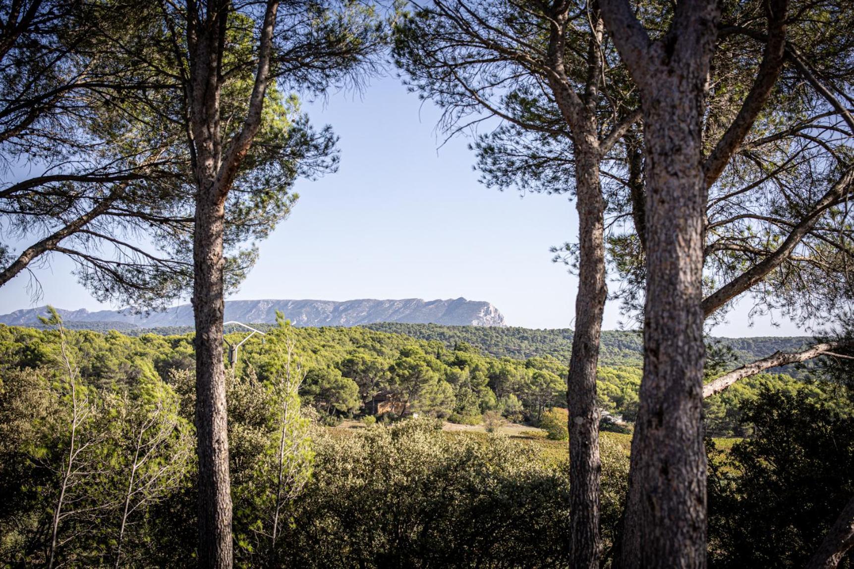 Mas Lou Felibrige Bed and Breakfast Venelles Buitenkant foto