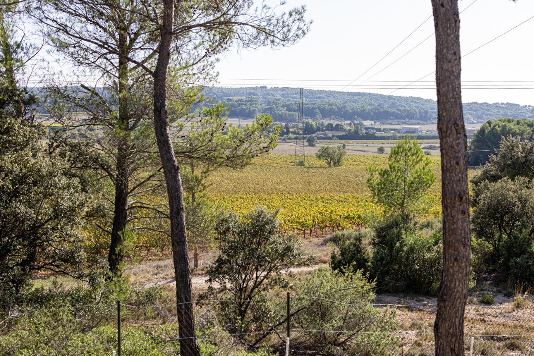 Mas Lou Felibrige Bed and Breakfast Venelles Buitenkant foto